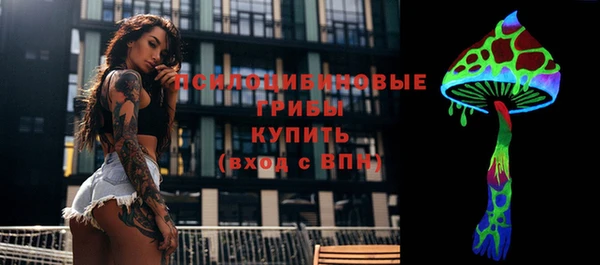Альфа ПВП Аркадак