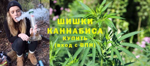 Альфа ПВП Аркадак