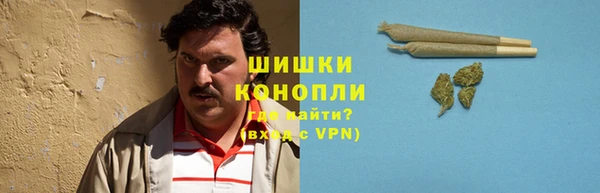 PSILOCYBIN Арсеньев